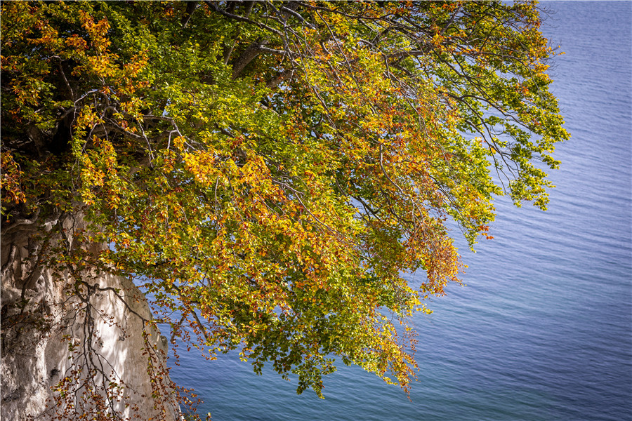 ICPhoto(qun)ƷՈD(zhun)d