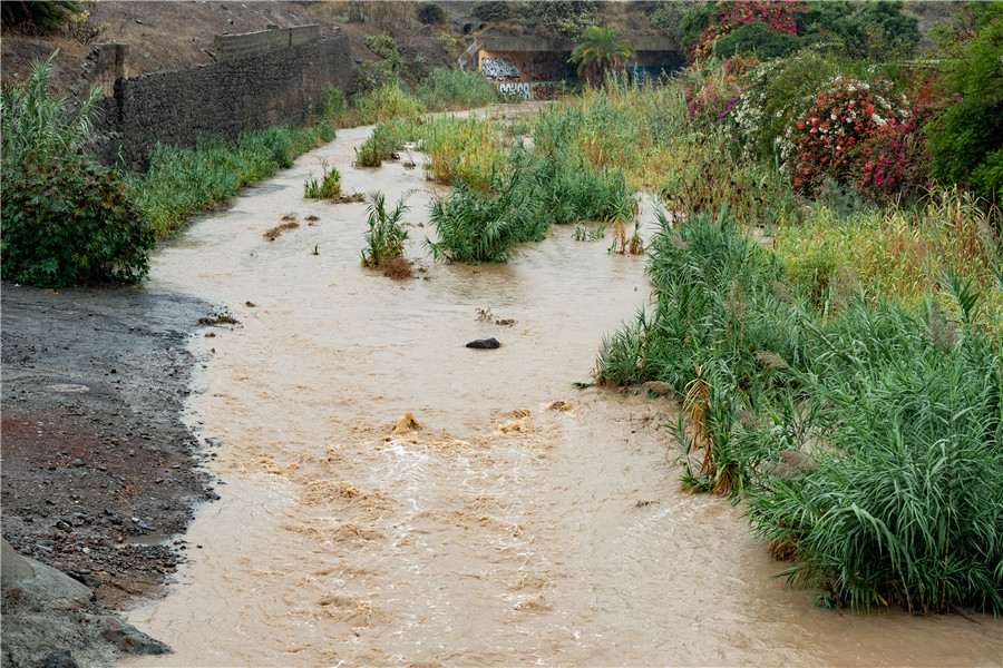 ICphoto(qun)ƷՈ(qng)D(zhun)d