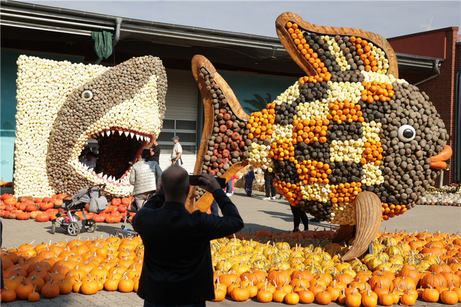 ICphoto(qun)ƷՈD(zhun)d