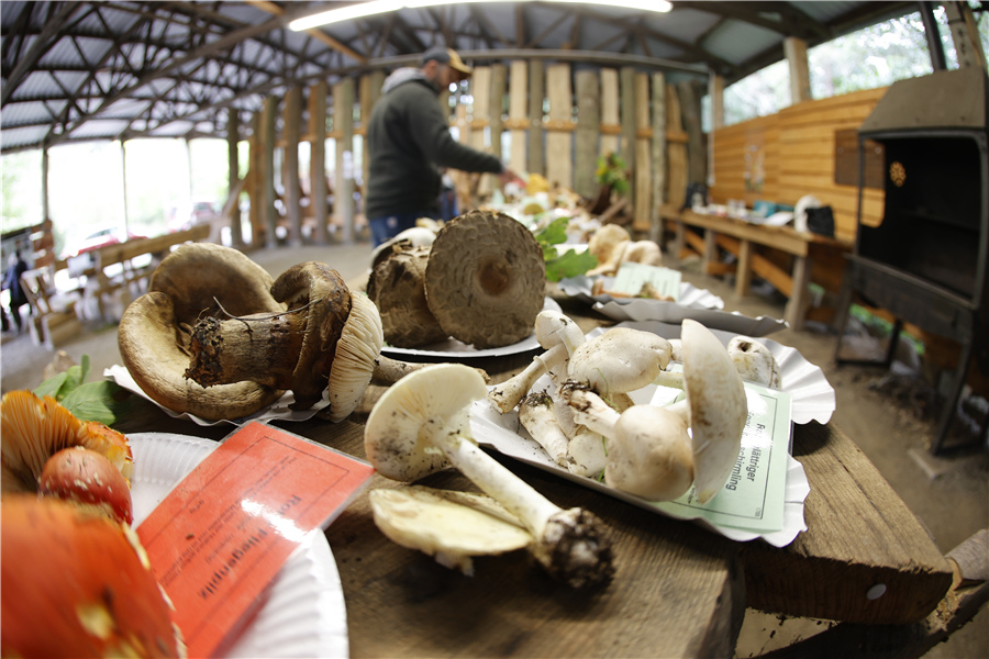 ICPhoto(qun)ƷՈD(zhun)d