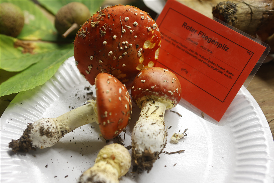 ICPhoto(qun)ƷՈ(qng)D(zhun)d