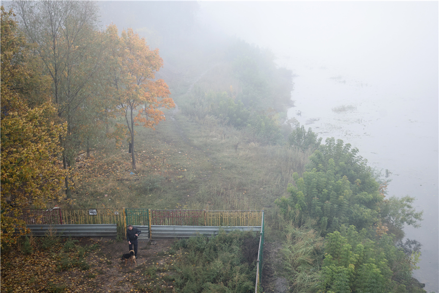 ICphoto(qun)ƷՈ(qng)D(zhun)d