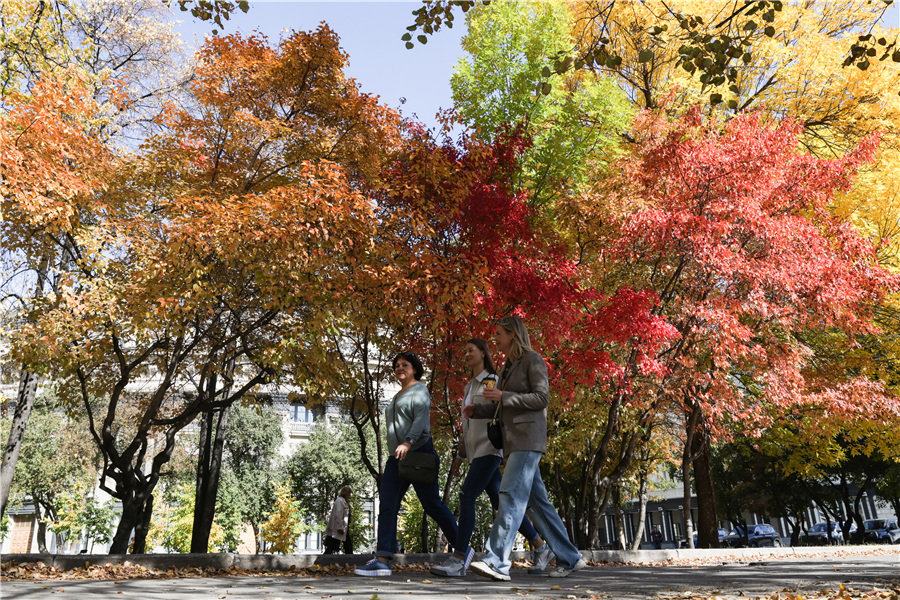 ICphoto(qun)ƷՈD(zhun)d