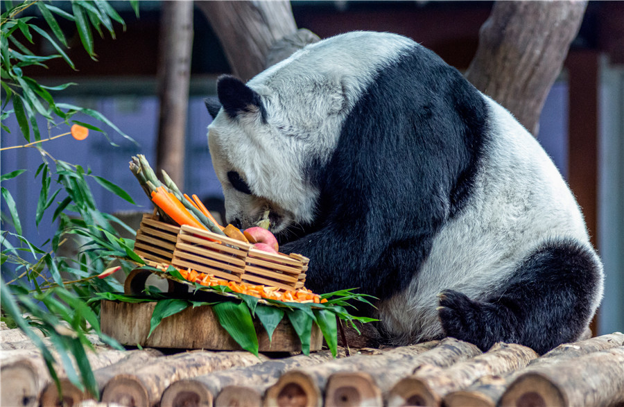 ICphoto(qun)ƷՈ(qng)D(zhun)d