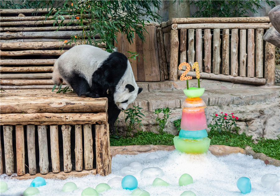 ICphoto(qun)ƷՈ(qng)D(zhun)d