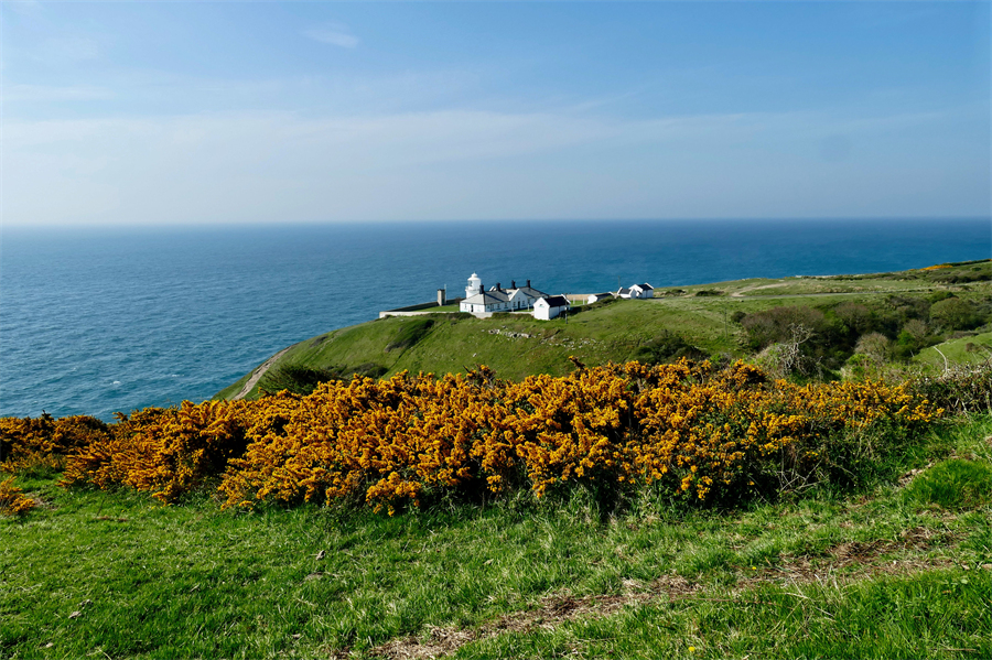 ICphoto(qun)ƷՈD(zhun)d