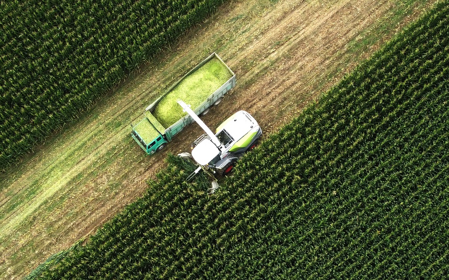 IC photo(qun)ƷՈD(zhun)d