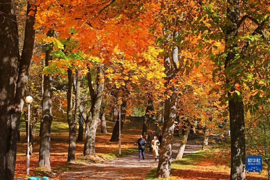 1010˂ڰ׶_˹˹һ̎@ɢ