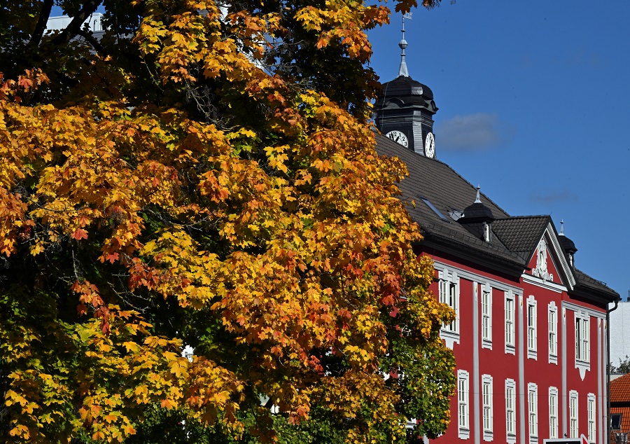 IC photo(qun)ƷՈD(zhun)d