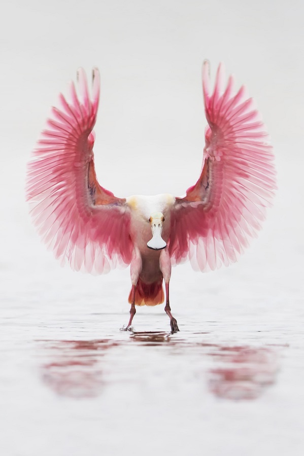 IC photo(qun)ƷՈ(qng)D(zhun)d