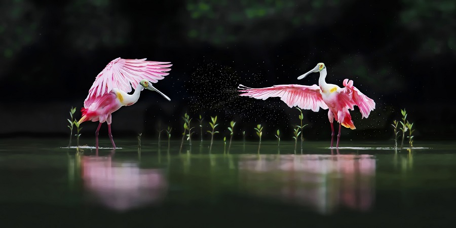 IC photo(qun)ƷՈ(qng)D(zhun)d