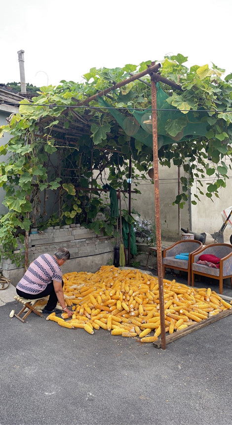 ɳӛ֙C(j)R^еЇ(gu)r(nng)L߹D