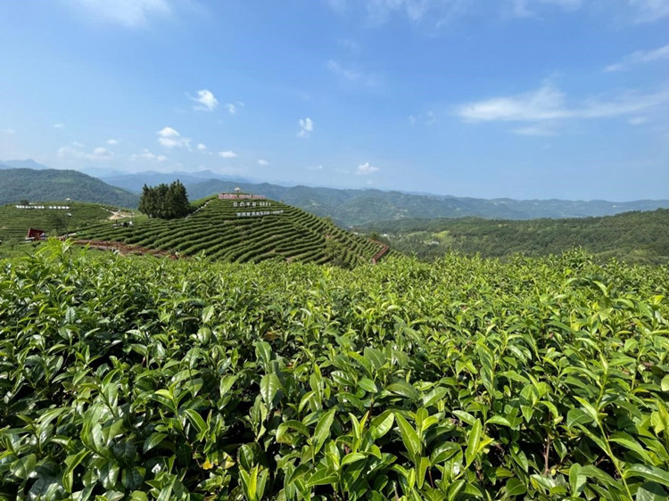 Ɲe˹̹Փ(bo)݋˹mҮR^µʡƽh@L߹D