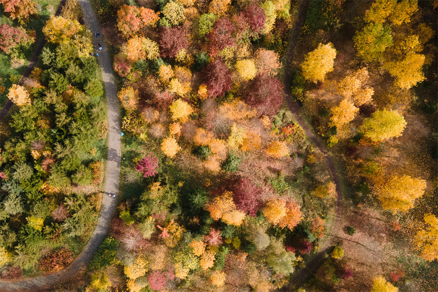 IC photo(qun)ƷՈ(qng)D(zhun)d