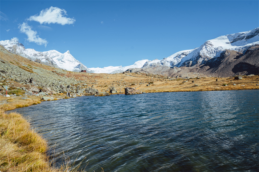 IC photo(qun)ƷՈD(zhun)d