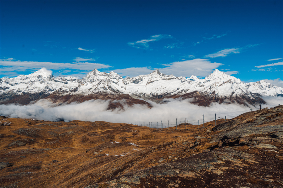 IC photo(qun)ƷՈ(qng)D(zhun)d