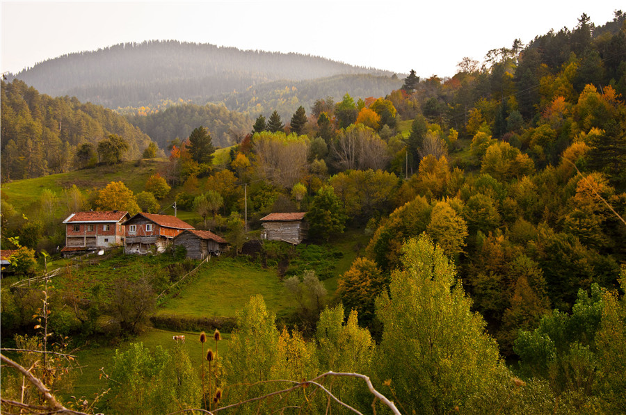 IC photo(qun)ƷՈD(zhun)d