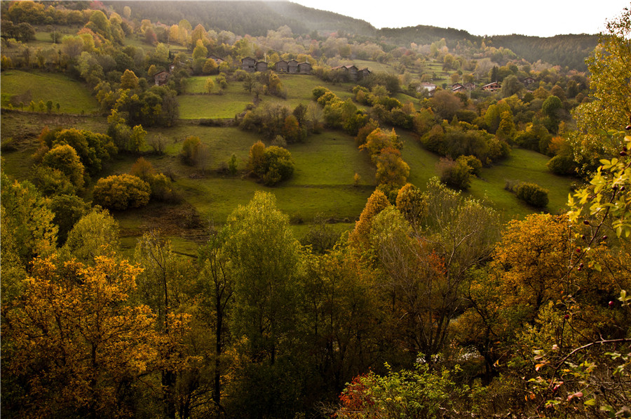 IC photoƷՈD(zhun)d