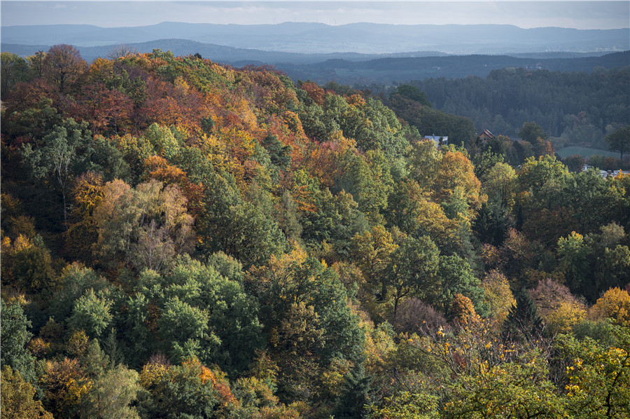 IC photo(qun)ƷՈD(zhun)d