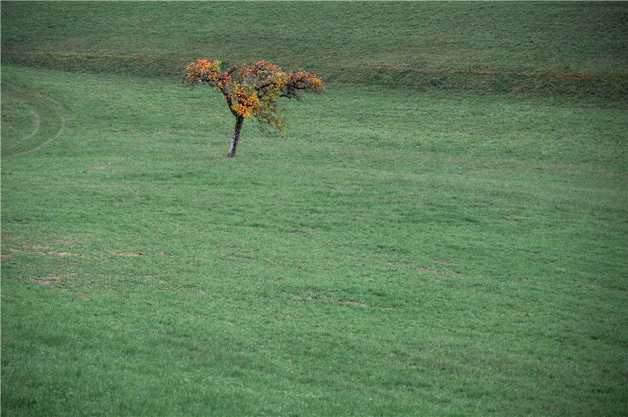 IC photo(qun)ƷՈ(qng)D(zhun)d