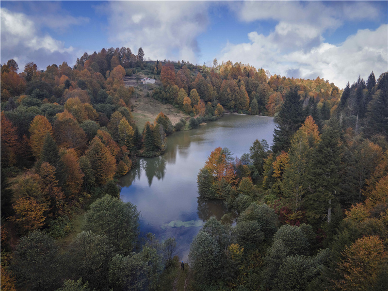 ICPhoto(qun)ƷՈD(zhun)d