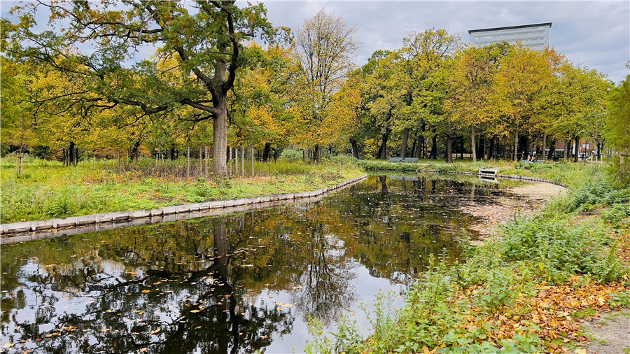 ICPhoto(qun)ƷՈ(qng)D(zhun)d