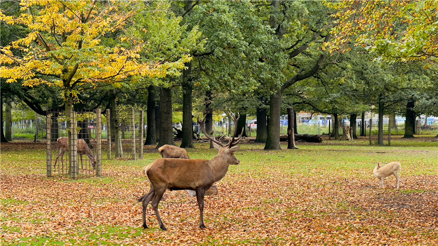 ICPhoto(qun)ƷՈD(zhun)d