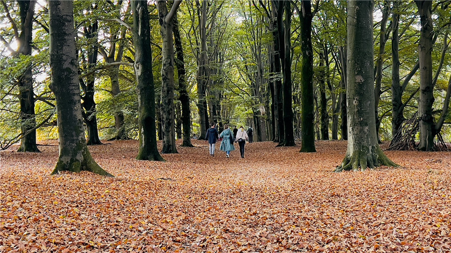 ICPhoto(qun)ƷՈD(zhun)d