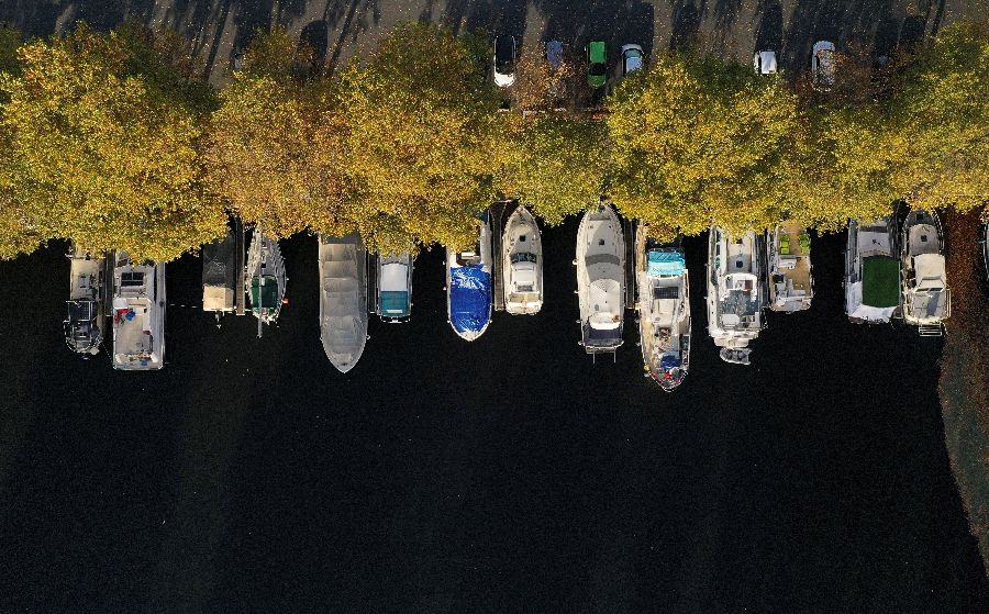 ICPhotoƷՈDd