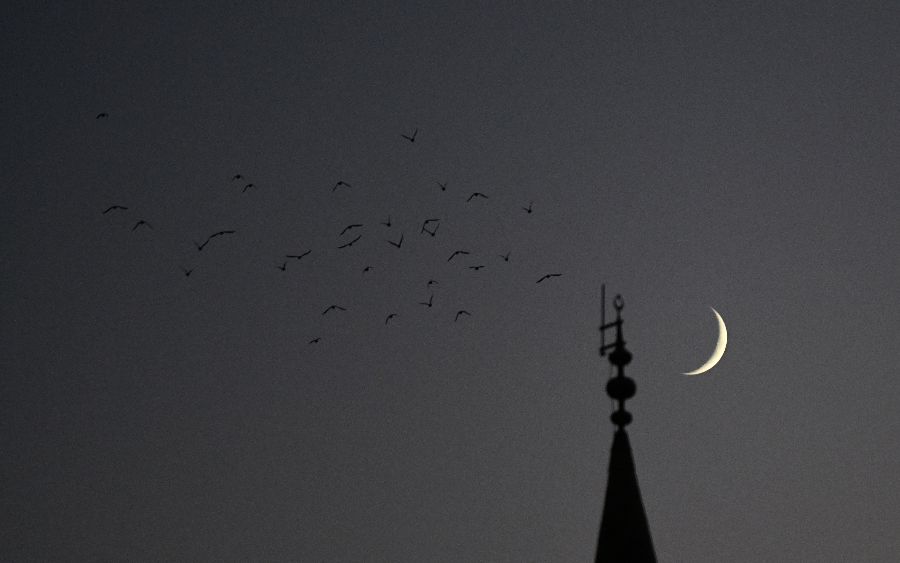 ICPhoto(qun)ƷՈD(zhun)d