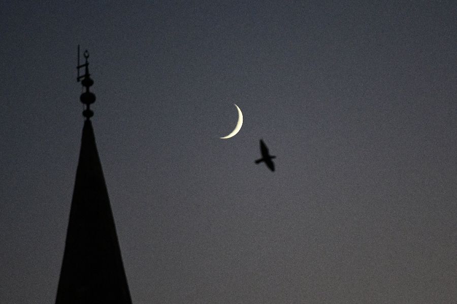 ICPhoto(qun)ƷՈ(qng)D(zhun)d