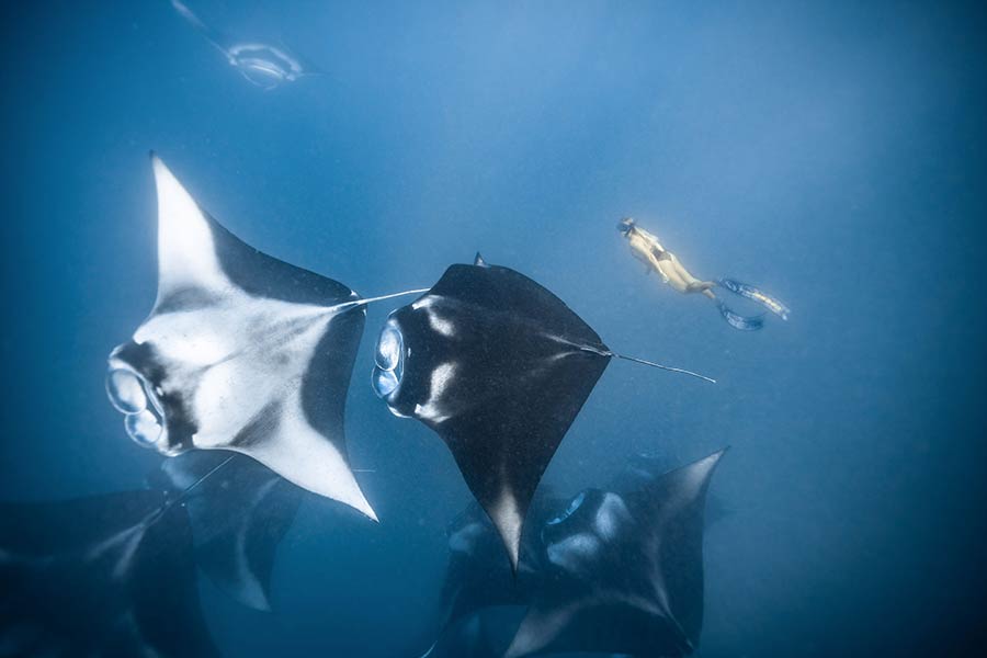 ICPhoto(qun)ƷՈD(zhun)d