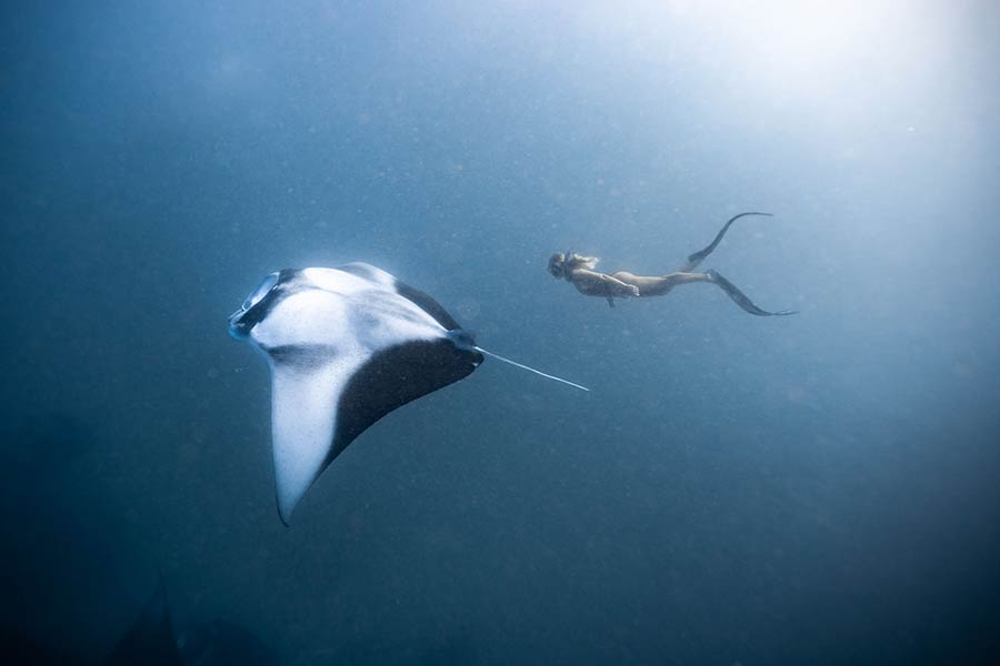 ICPhoto(qun)ƷՈ(qng)D(zhun)d