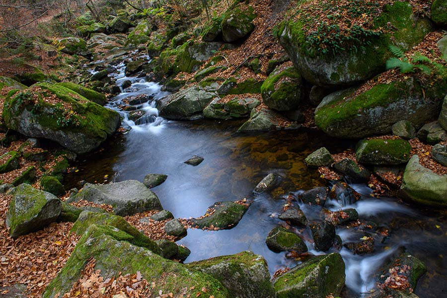 ICPhoto(qun)ƷՈD(zhun)d