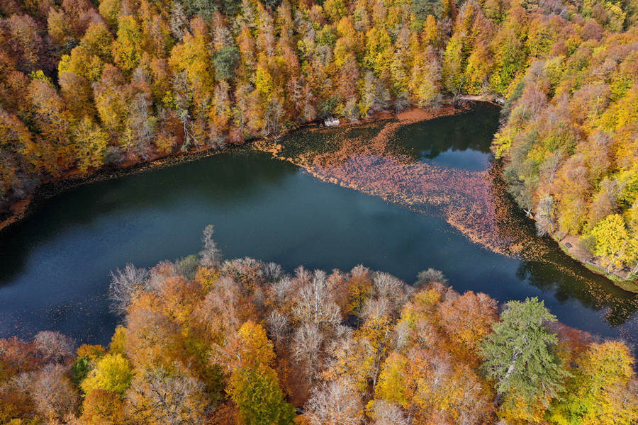 IC Photo(qun)ƷՈD(zhun)d