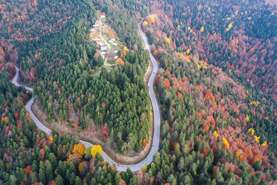 IC Photo(qun)ƷՈ(qng)D(zhun)d