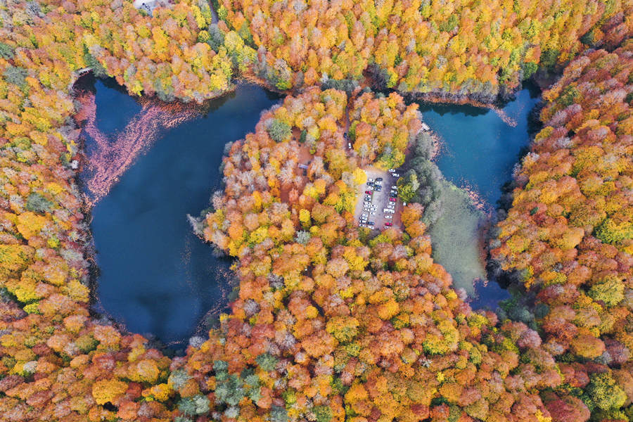 IC Photo(qun)ƷՈ(qng)D(zhun)d