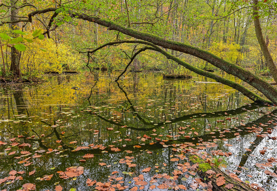 IC Photo(qun)ƷՈ(qng)D(zhun)d