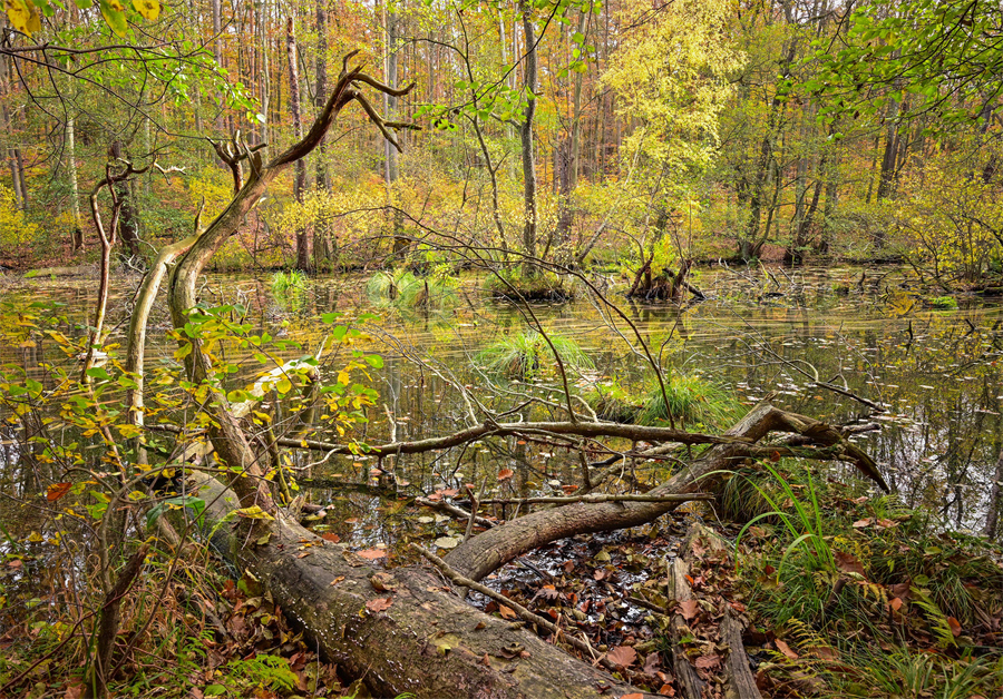 IC Photo(qun)ƷՈ(qng)D(zhun)d