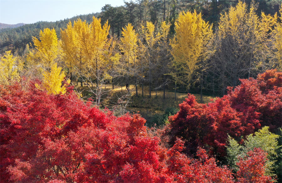 IC Photo(qun)ƷՈD(zhun)d