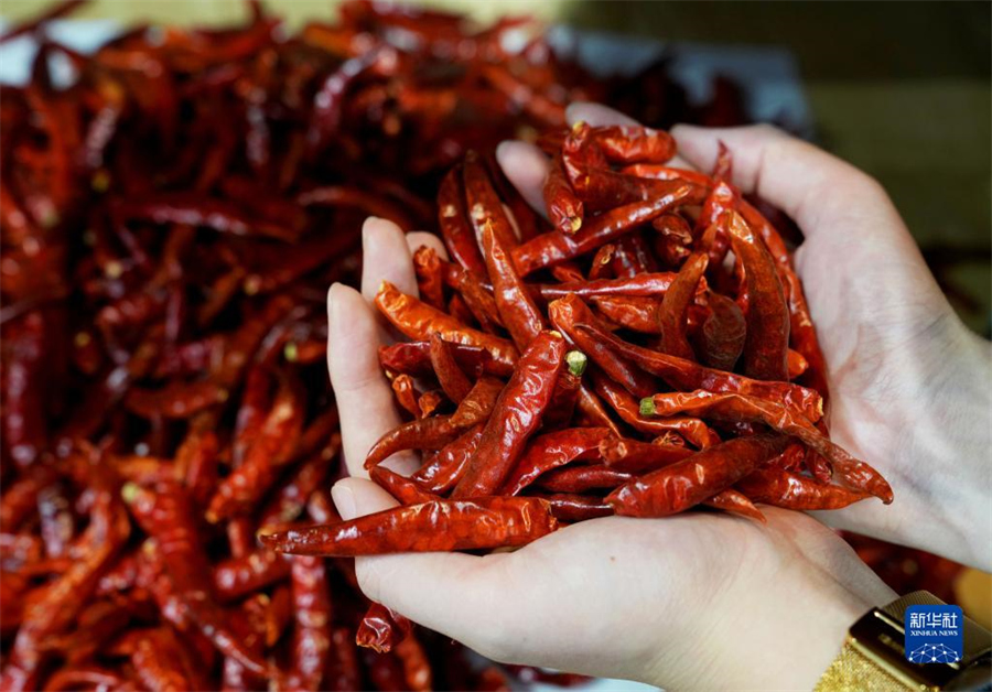 117ڵM(jn)(hu)ʳƷr(nng)a(chn)Ʒչ^(q)Ĕzā(li)ԱR_(d)ڵЇ(gu)(gu)HM(jn)ڲ[(hu)ʳƷr(nng)a(chn)Ʒչ^(q)ȁϷѾơ၆ţ͹ȷa(chn)չ(hu)(li)eġζAӛ f z