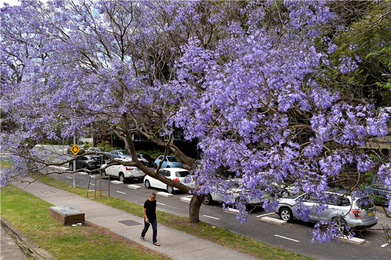 ICPhoto(qun)ƷՈD(zhun)d