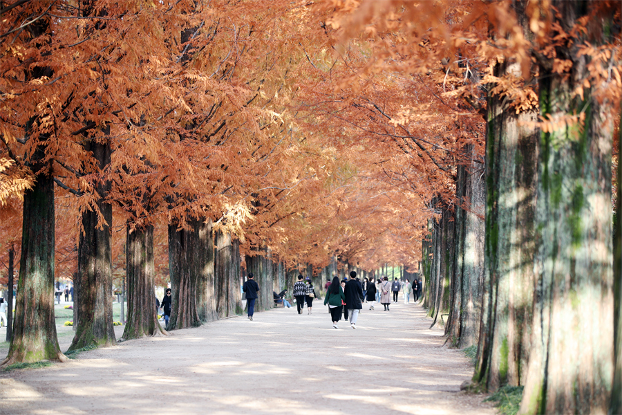 ICPhotoƷՈD(zhun)d