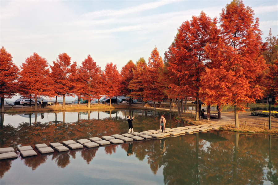 ICPhotoƷՈDd