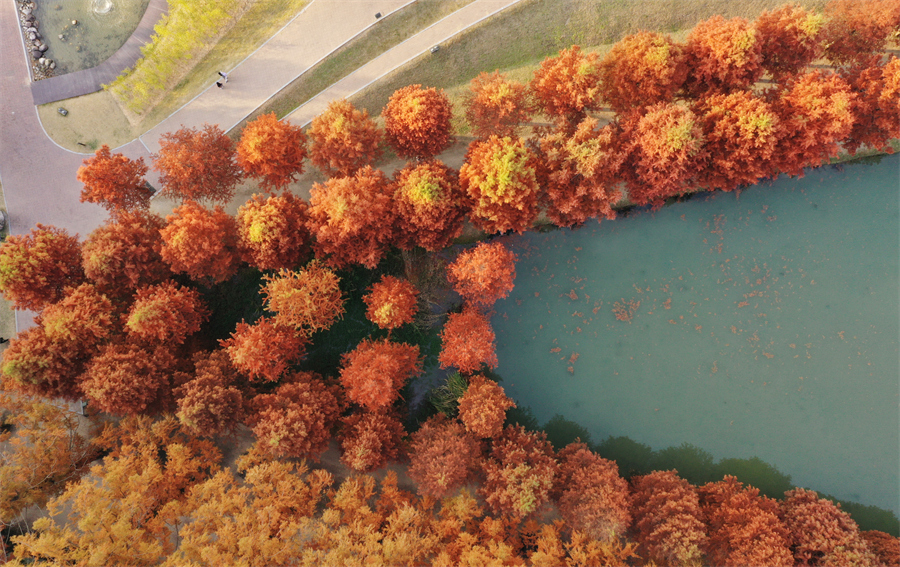 ICPhoto(qun)ƷՈD(zhun)d