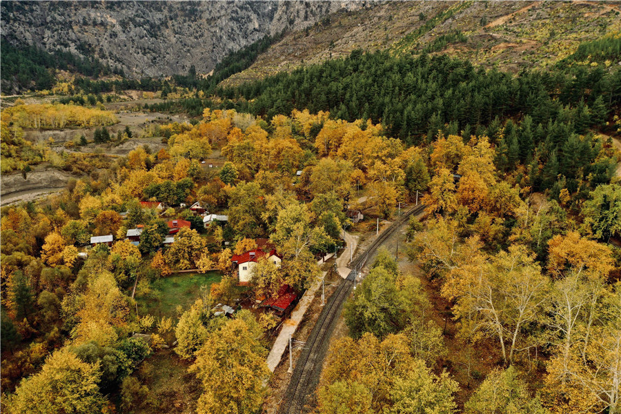 ICPhoto(qun)ƷՈ(qng)D(zhun)d