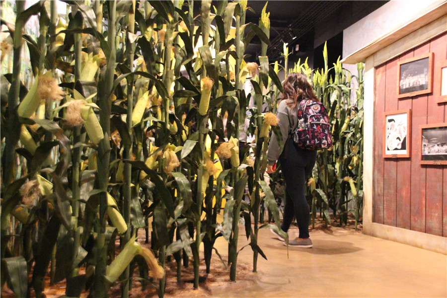 ICPhoto(qun)ƷՈ(qng)D(zhun)d