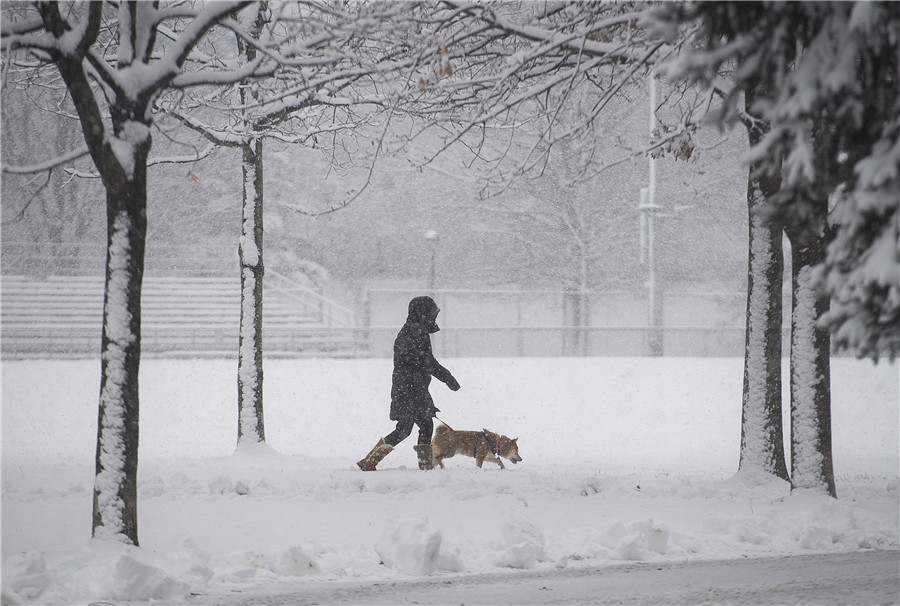 ICPhoto(qun)ƷՈD(zhun)d