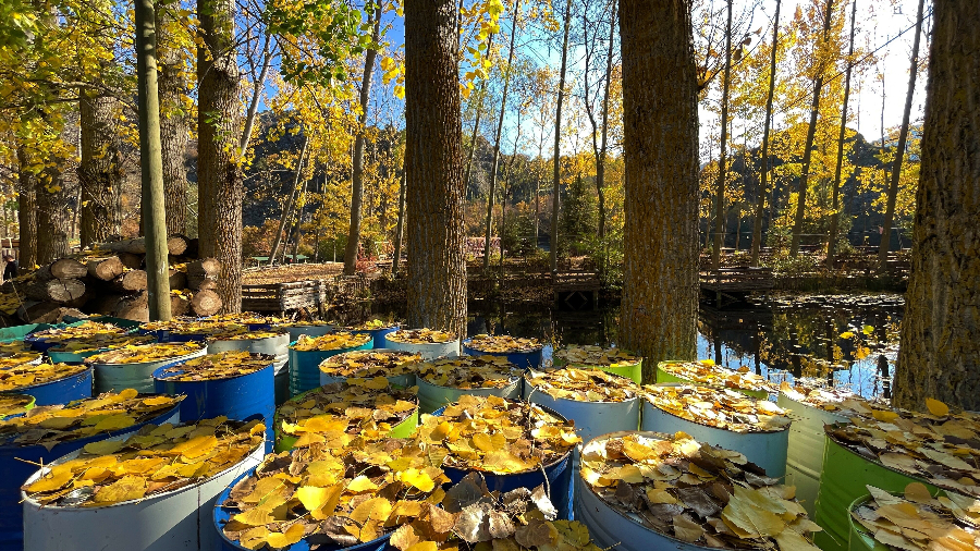 ICPhoto(qun)ƷՈD(zhun)d