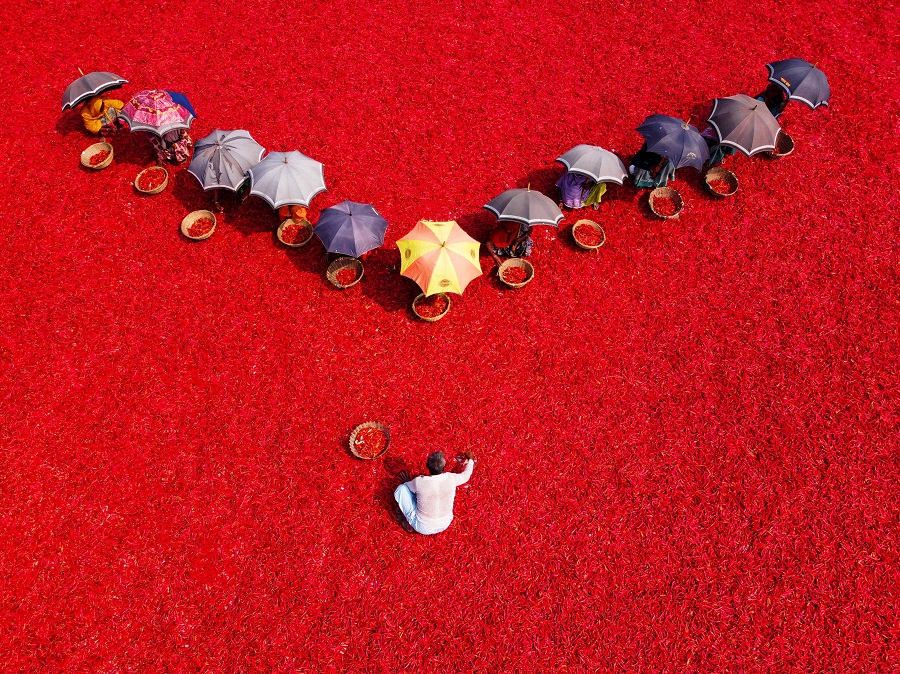 IC Photo(qun)ƷՈD(zhun)d